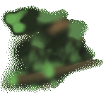 eyes of a beastie hiding in the dark